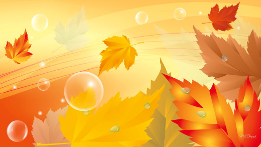919557 (a): :1920x1080
